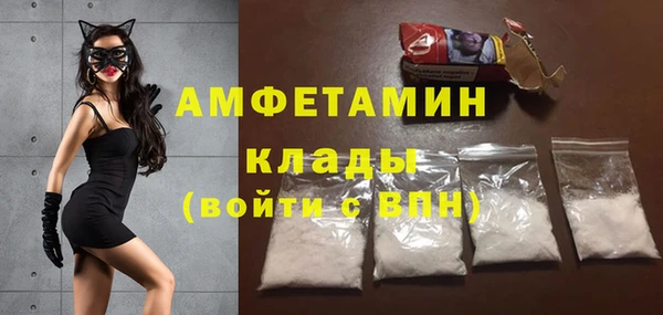 прущие грибы Вязники