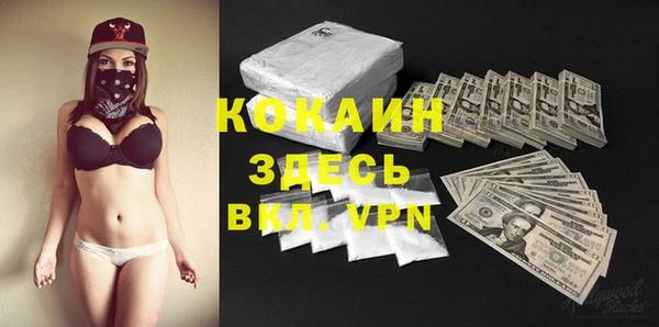 крисы Снежногорск