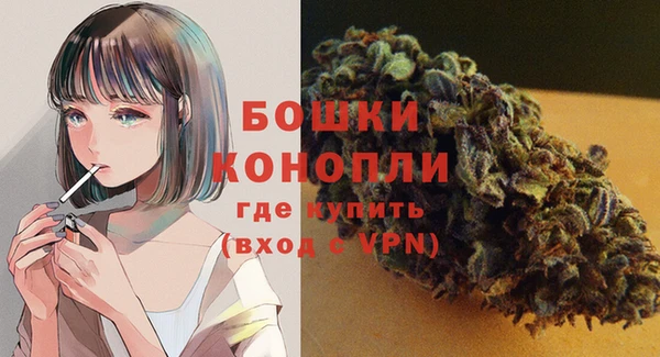 прущие грибы Вязники