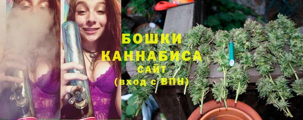 дмт Вязьма