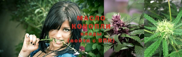 прущие грибы Вязники