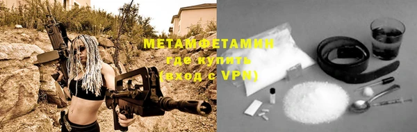 прущие грибы Вязники